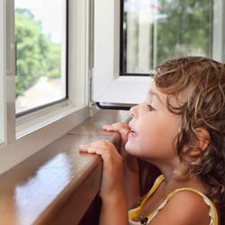 Need a Window Repaired or Replaced?